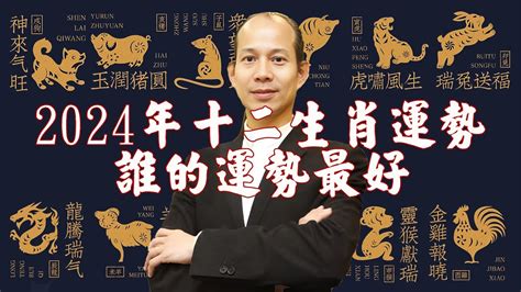 生肖馬顏色|【馬幸運色】馬兒奔赴好運！必收藏的2024年屬馬幸。